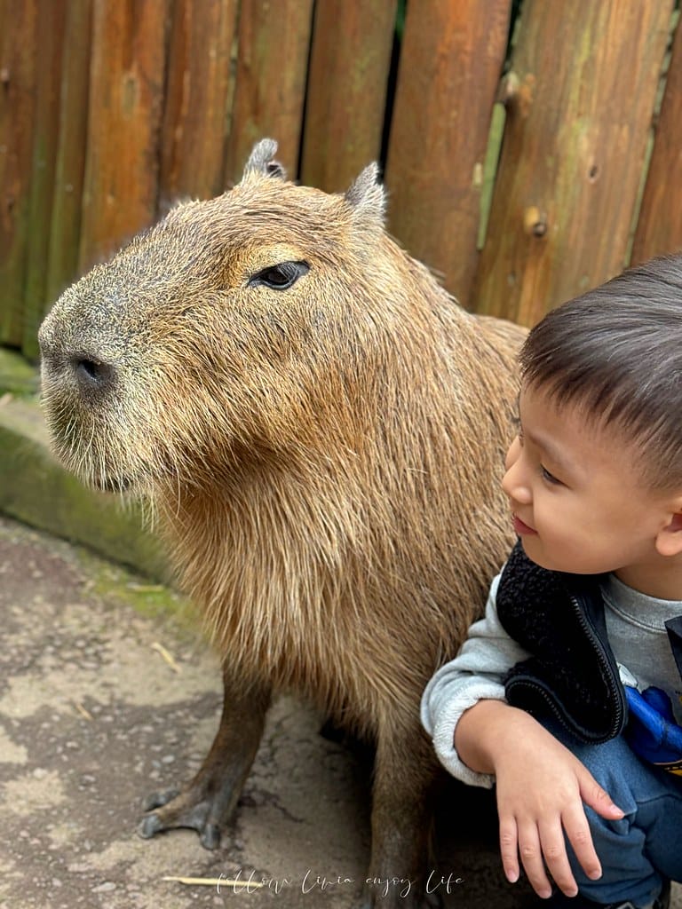 富士野生動物園124