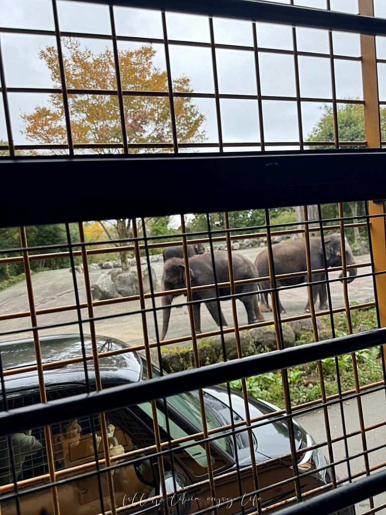 富士野生動物園67