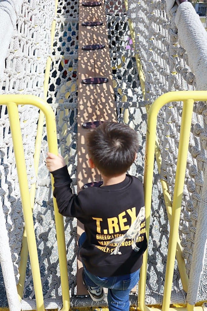 健康綠洲公園23 健康綠洲公園23