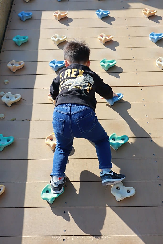 健康綠洲公園12 健康綠洲公園12
