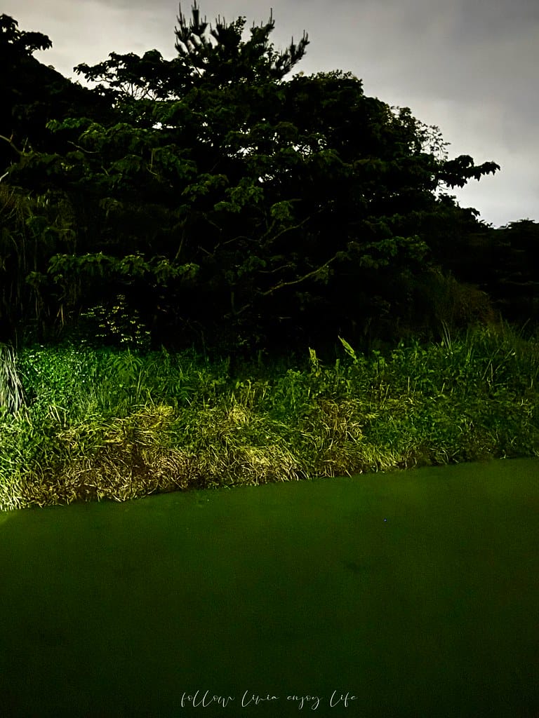蟲蟲36