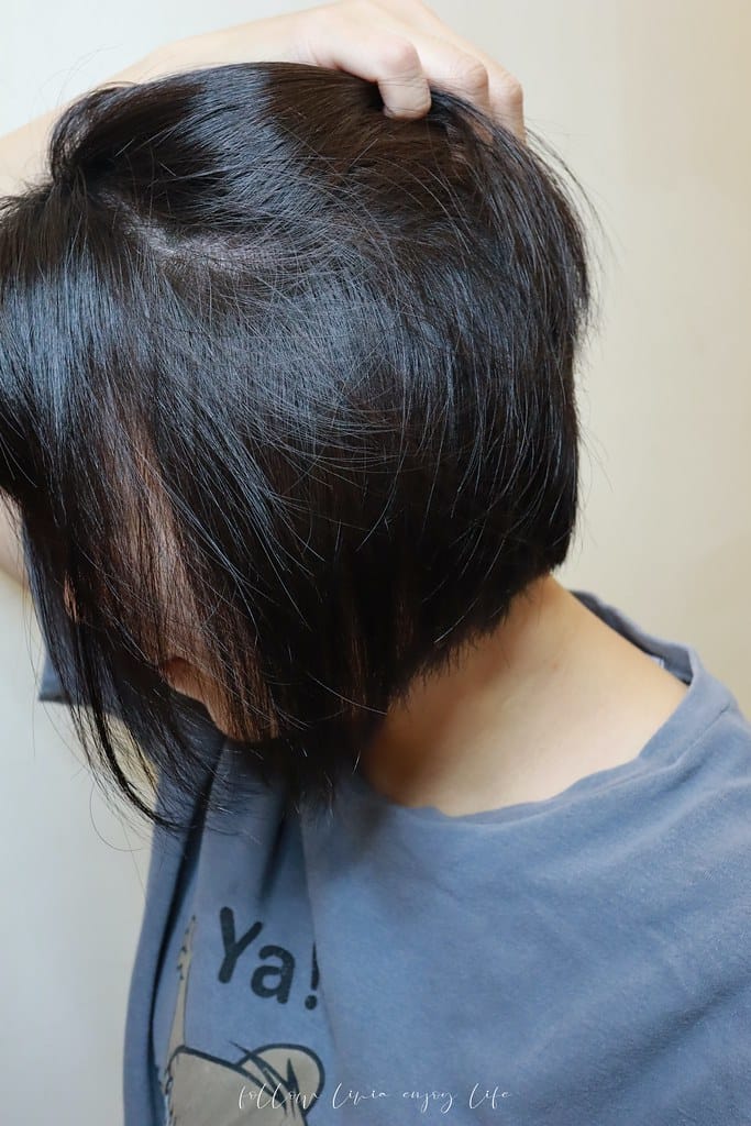 染11 染11
