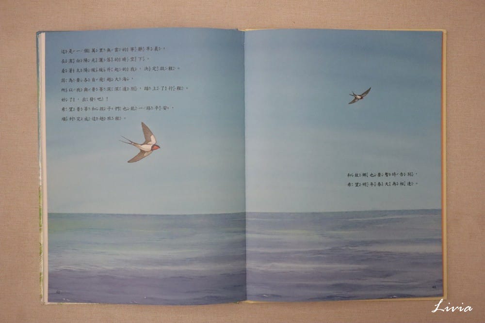 鳥系列 (11) 鳥系列 (11)