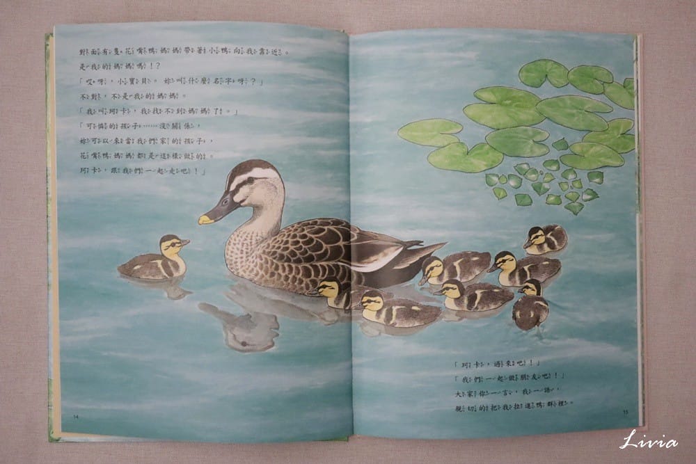鳥系列 (18) 鳥系列 (18)