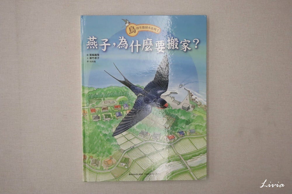 鳥系列 (7) 鳥系列 (7)