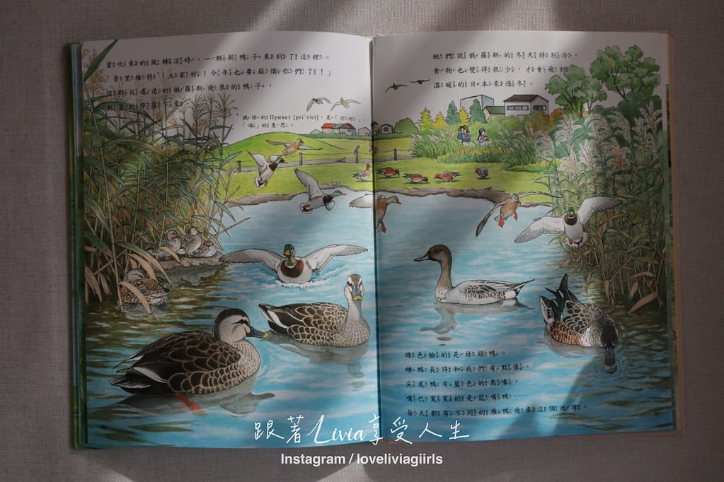 為什麼,花嘴鴨最喜歡媽媽?7 為什麼,花嘴鴨最喜歡媽媽?7