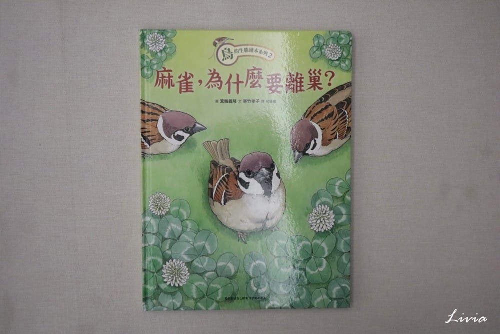 鳥系列 (12) 鳥系列 (12)