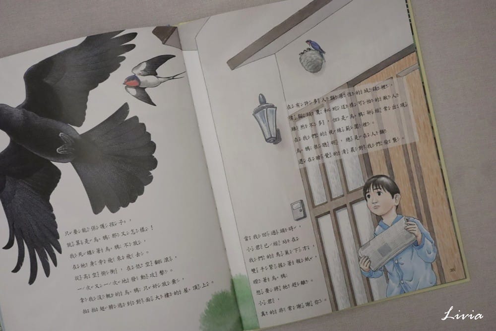 鳥系列 (10) 鳥系列 (10)