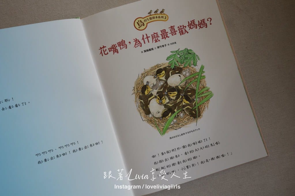 為什麼,花嘴鴨最喜歡媽媽?4 為什麼,花嘴鴨最喜歡媽媽?4