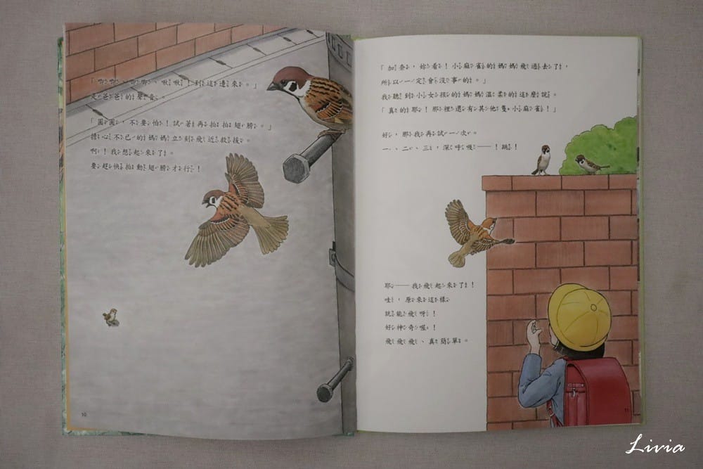 鳥系列 (14) 鳥系列 (14)