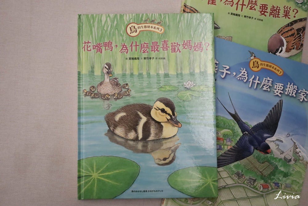 鳥系列 (6) 鳥系列 (6)