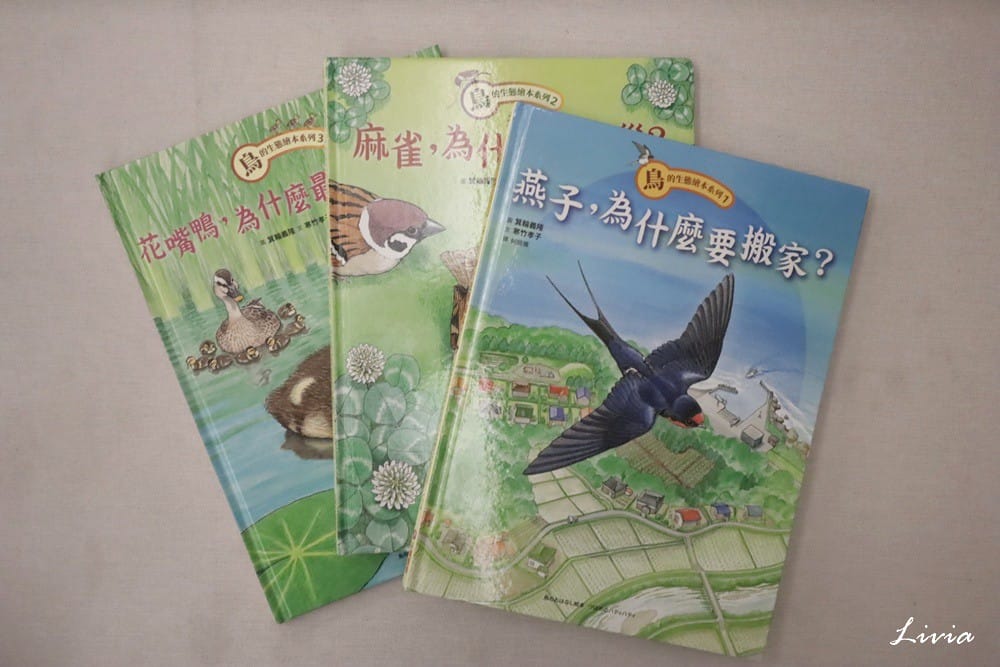 鳥系列 (2) 鳥系列 (2)