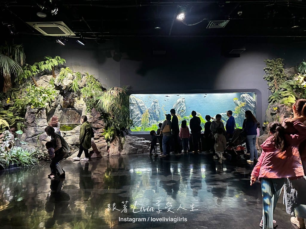 沖繩親子旅行走進 DMM Kariyushi 水族館的奇幻 沖繩親子旅行走進 DMM Kariyushi 水族館的奇幻