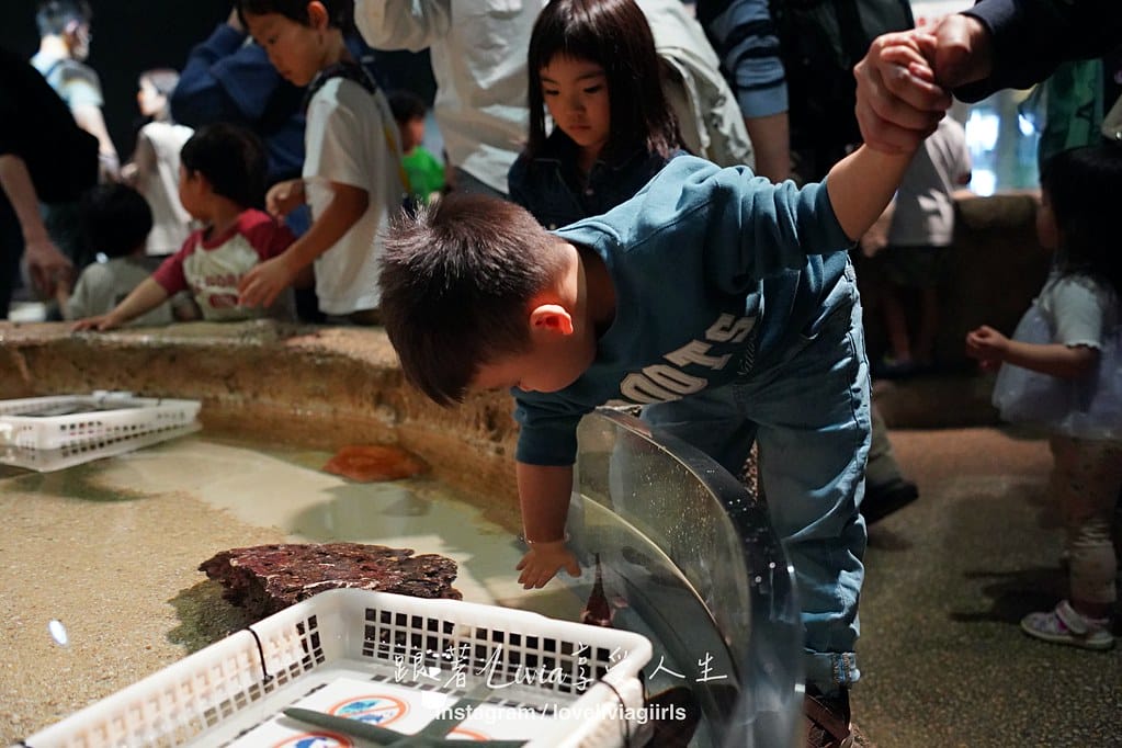 沖繩親子旅行走進 DMM Kariyushi 水族館的奇幻 沖繩親子旅行走進 DMM Kariyushi 水族館的奇幻