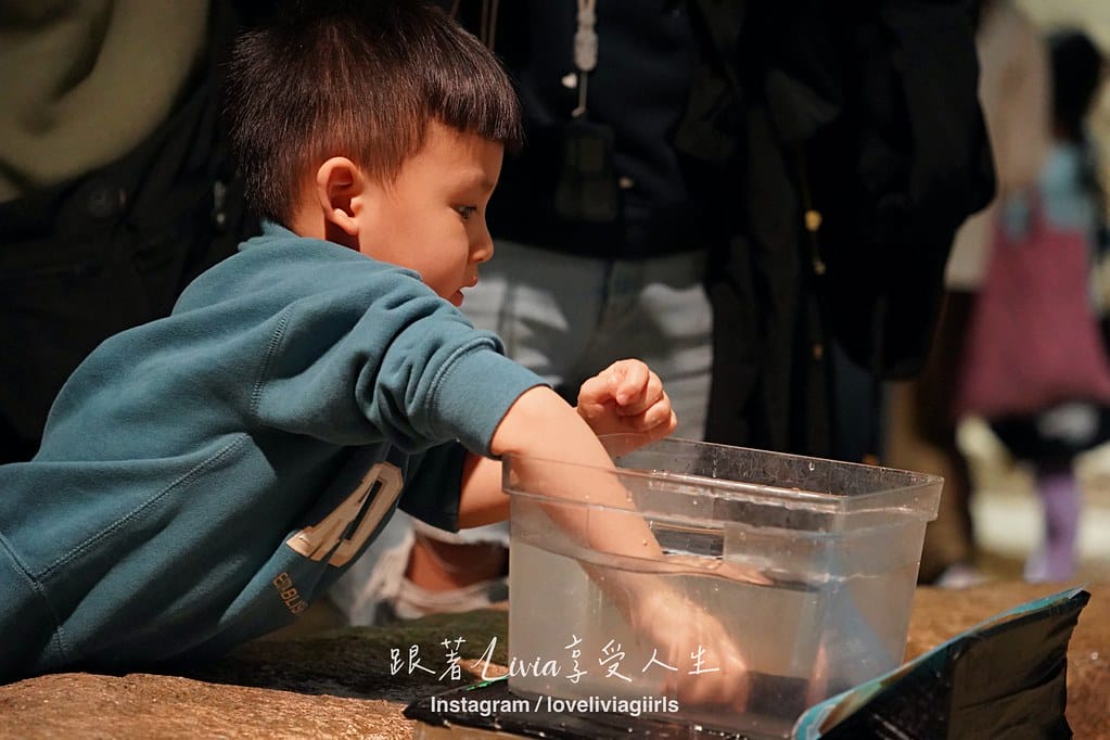 沖繩親子旅行走進 DMM Kariyushi 水族館的奇幻 沖繩親子旅行走進 DMM Kariyushi 水族館的奇幻