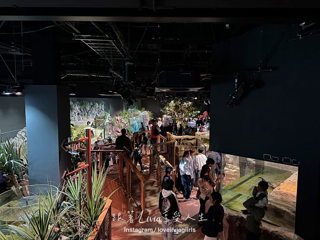 沖繩親子旅行走進 DMM Kariyushi 水族館的奇幻 沖繩親子旅行走進 DMM Kariyushi 水族館的奇幻