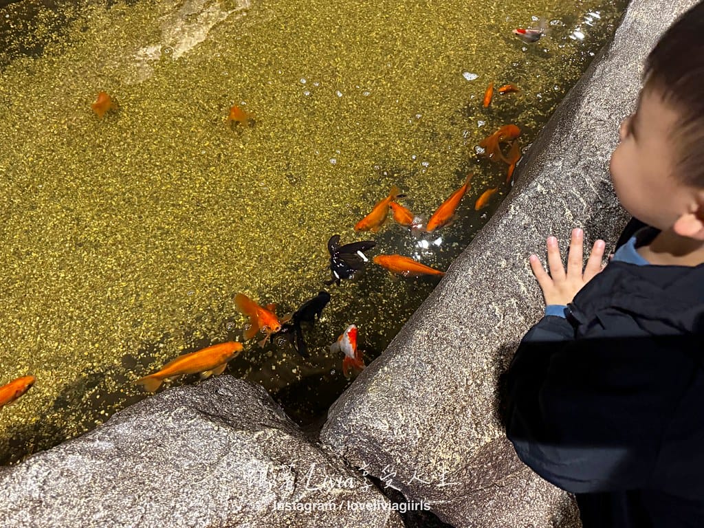 沖繩親子旅行走進 DMM Kariyushi 水族館的奇幻 沖繩親子旅行走進 DMM Kariyushi 水族館的奇幻