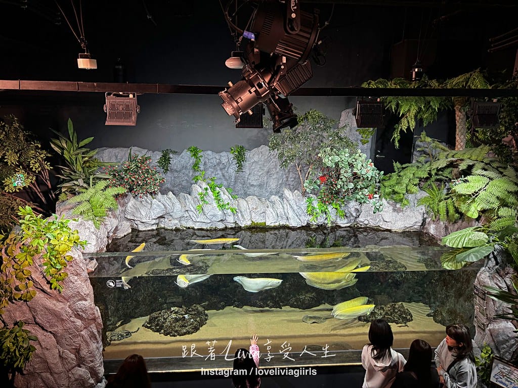 沖繩親子旅行走進 DMM Kariyushi 水族館的奇幻 沖繩親子旅行走進 DMM Kariyushi 水族館的奇幻