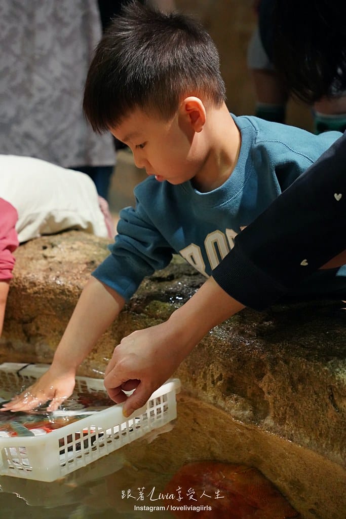 沖繩親子旅行走進 DMM Kariyushi 水族館的奇幻 沖繩親子旅行走進 DMM Kariyushi 水族館的奇幻
