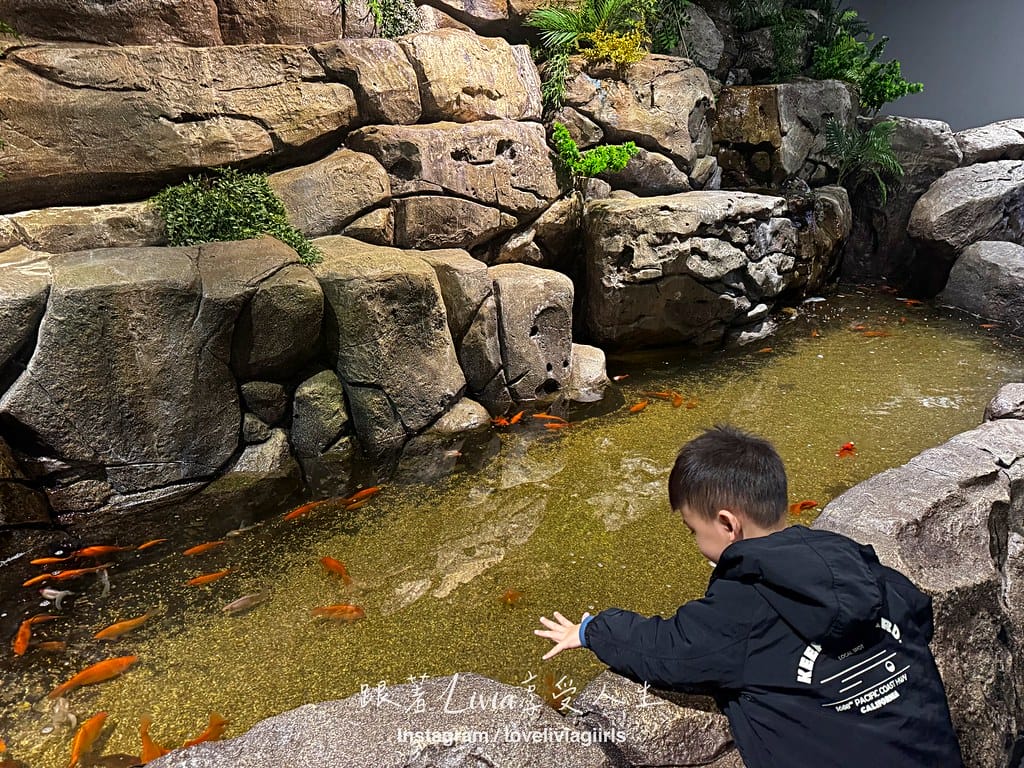 沖繩親子旅行走進 DMM Kariyushi 水族館的奇幻 沖繩親子旅行走進 DMM Kariyushi 水族館的奇幻