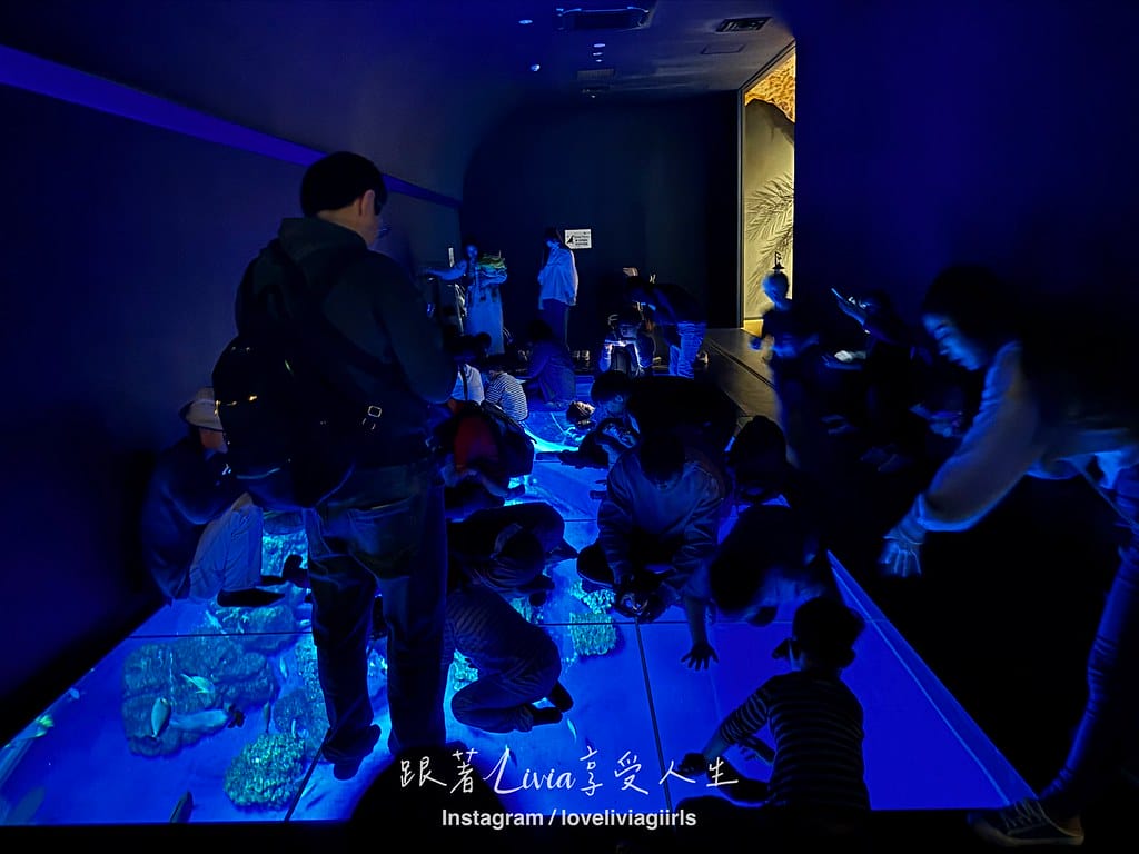 沖繩親子旅行走進 DMM Kariyushi 水族館的奇幻 沖繩親子旅行走進 DMM Kariyushi 水族館的奇幻