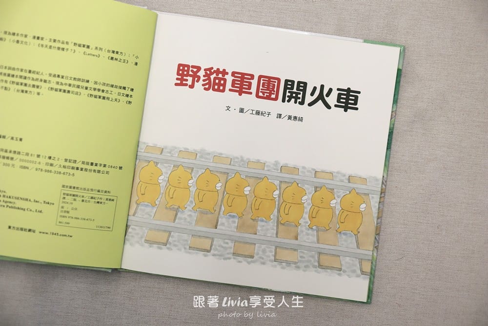 野貓 (3)