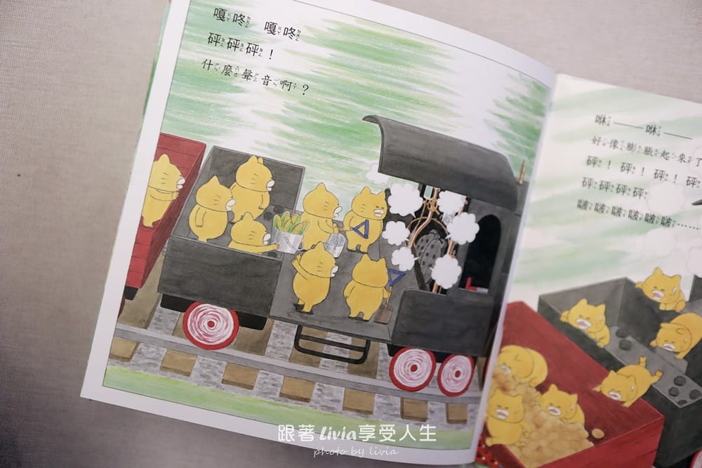 野貓 (5)