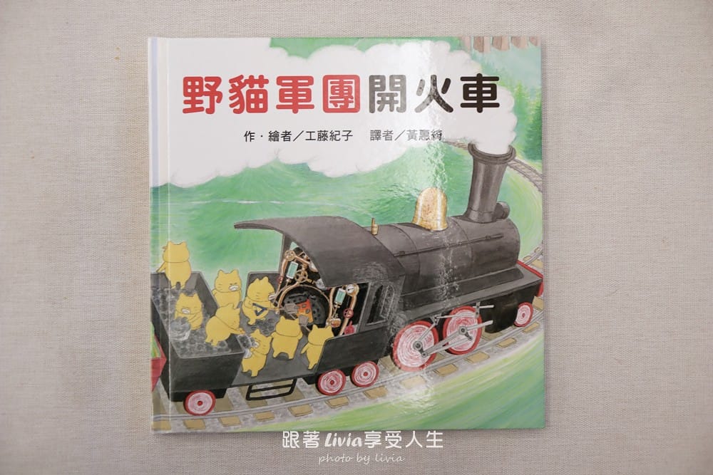 野貓 (2)