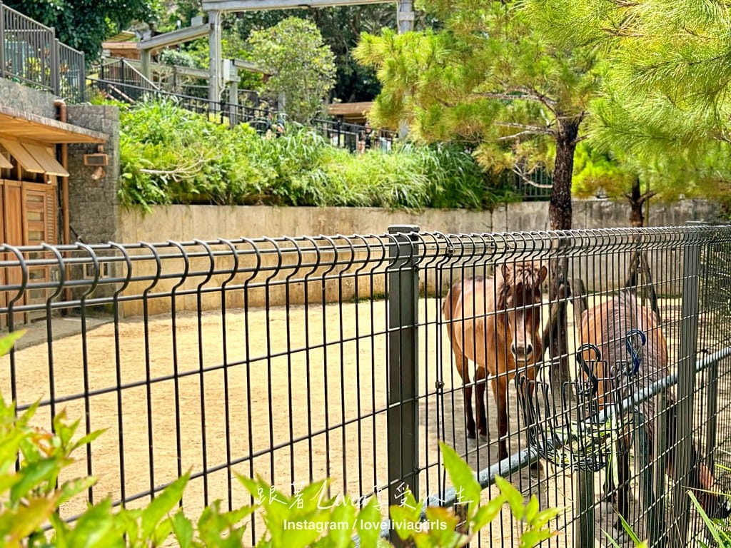 沖繩兒童王國62 沖繩兒童王國62