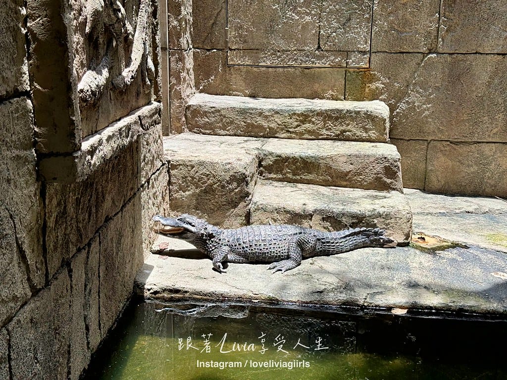 沖繩兒童王國50 沖繩兒童王國50