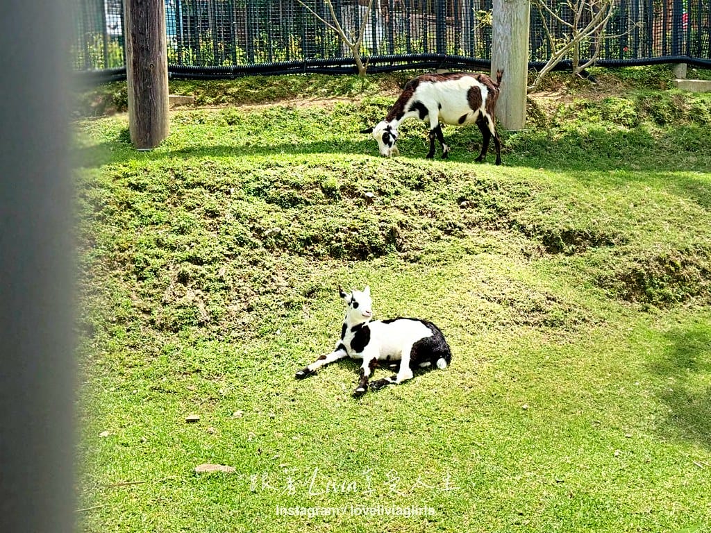 沖繩兒童王國67 沖繩兒童王國67