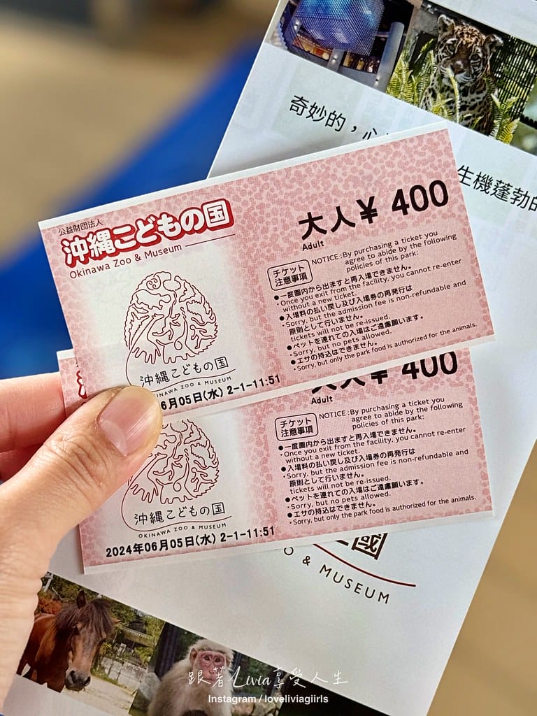 沖繩兒童王國21 沖繩兒童王國21