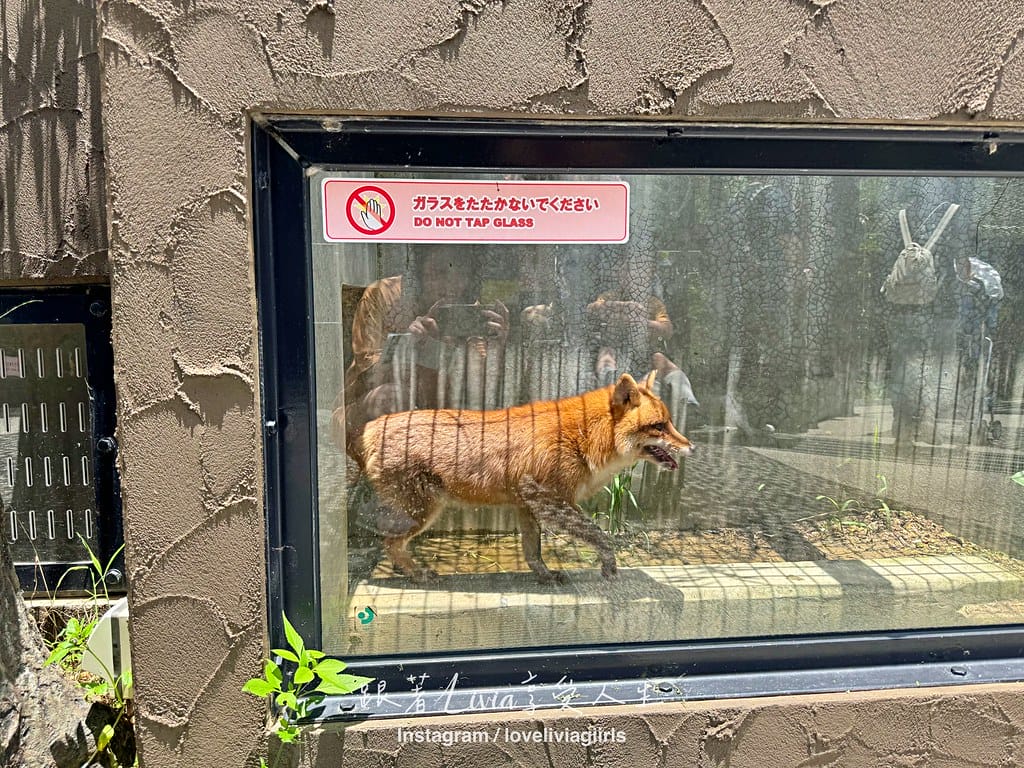 沖繩兒童王國29 沖繩兒童王國29