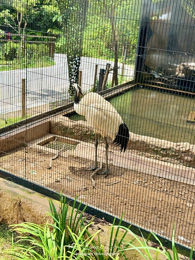 沖繩兒童王國36 沖繩兒童王國36
