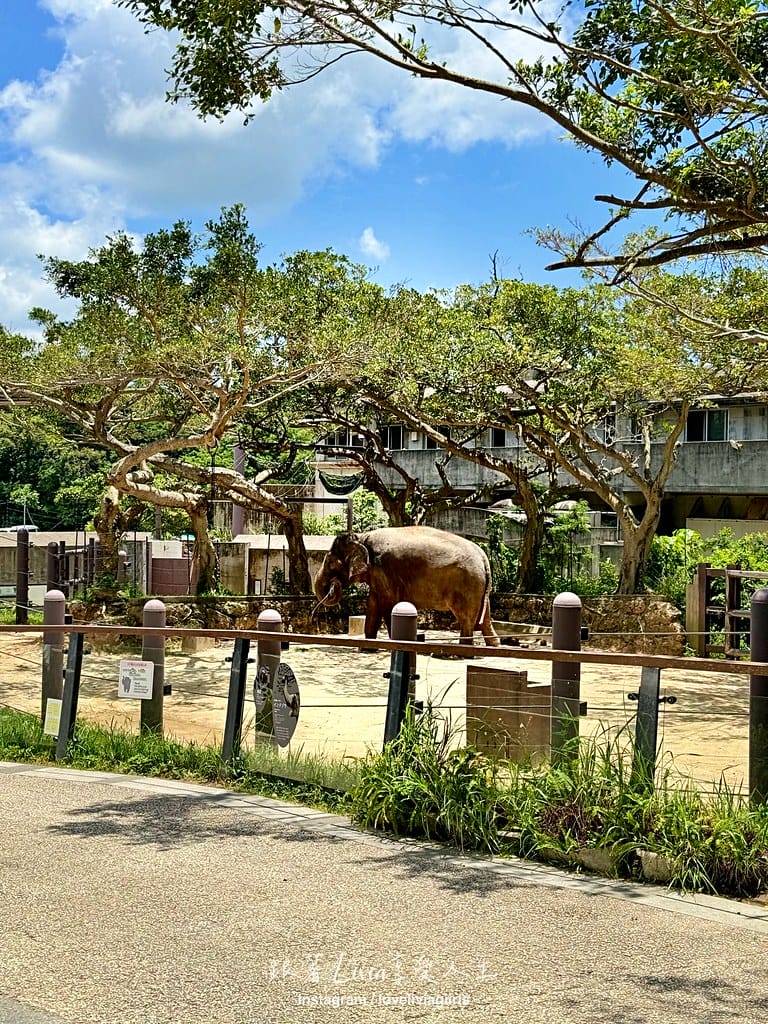 沖繩兒童王國42 沖繩兒童王國42