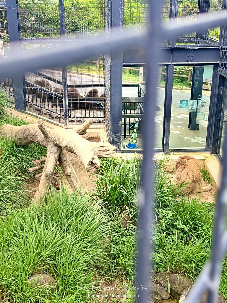 沖繩兒童王國87 沖繩兒童王國87