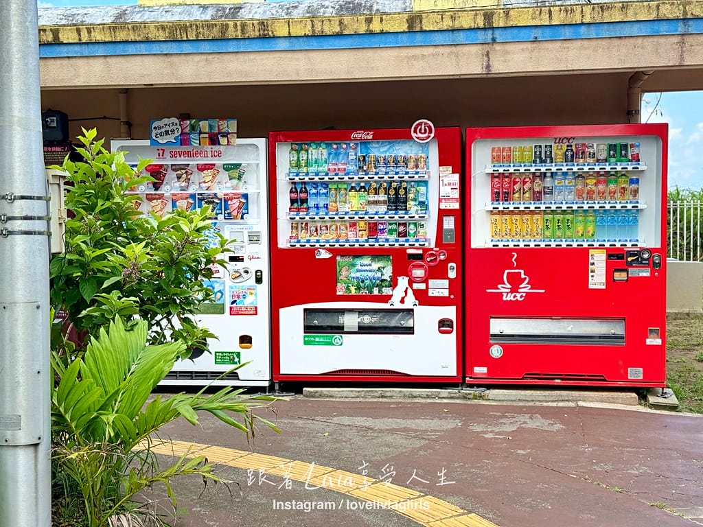 沖繩兒童王國60 沖繩兒童王國60