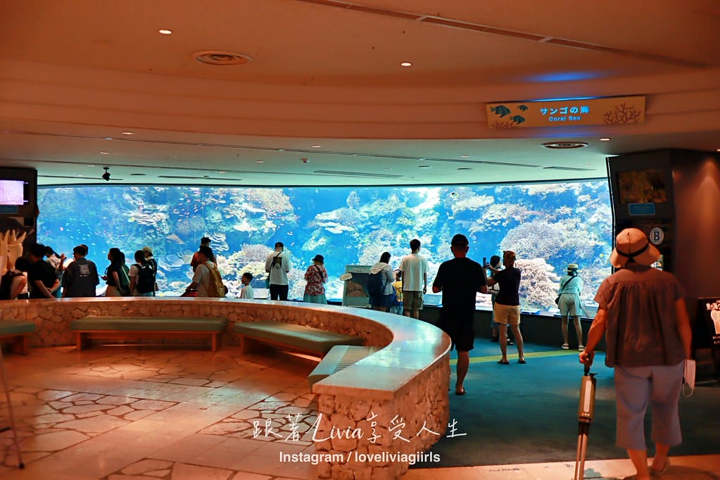 美麗海202432 美麗海202432