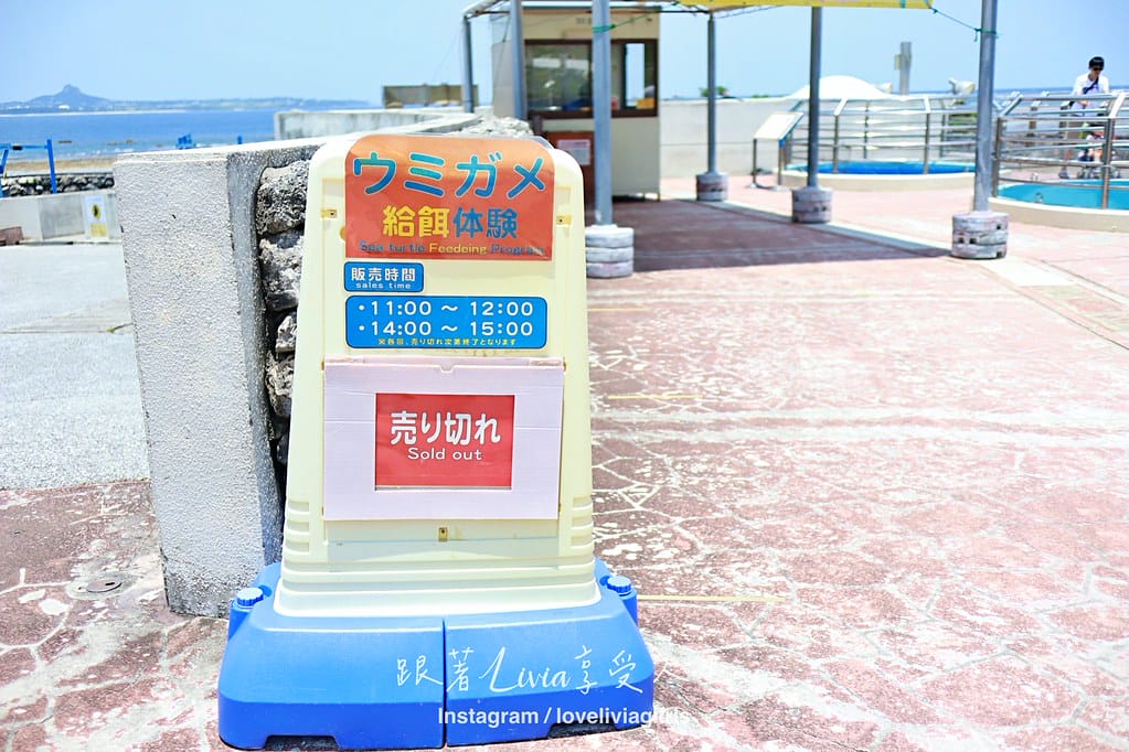 美麗海202422 美麗海202422