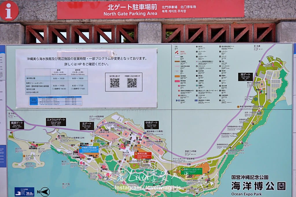 美麗海20243 美麗海20243