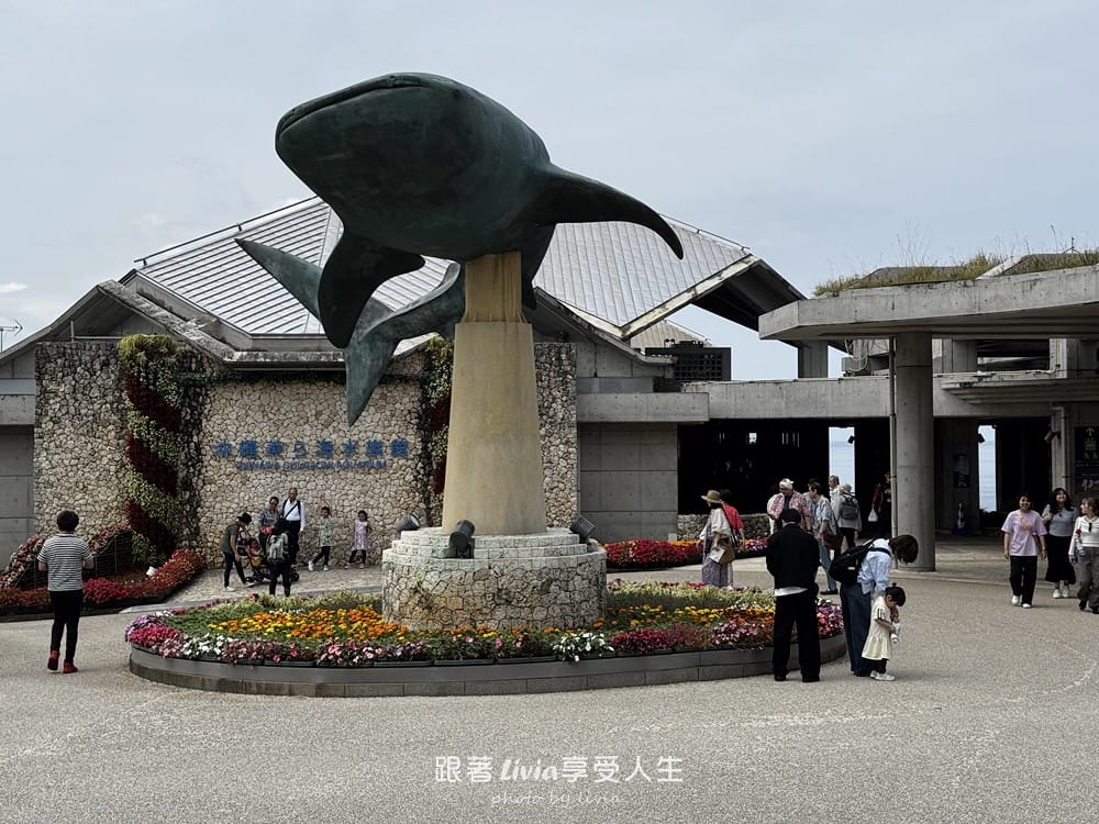 美麗海水族館親子遊沖繩親子必訪景點,近距離看見大鯨鯊! 美麗海水族館親子遊沖繩親子必訪景點,近距離看見大鯨鯊!