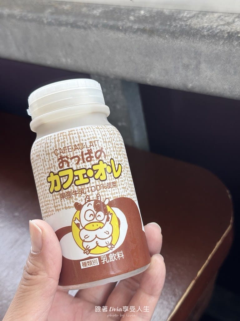 沖繩親子自駕旅遊帶著孩子暢遊沖繩解放爸媽雙手!沖繩親子友