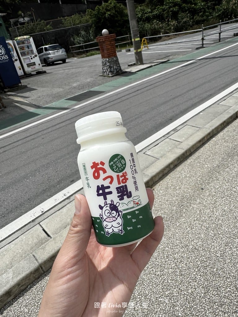 沖繩親子自駕旅遊帶著孩子暢遊沖繩解放爸媽雙手!沖繩親子友
