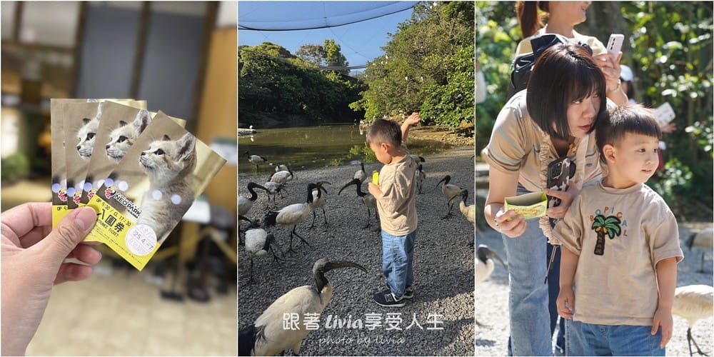 名護自然動植物公園 (1)