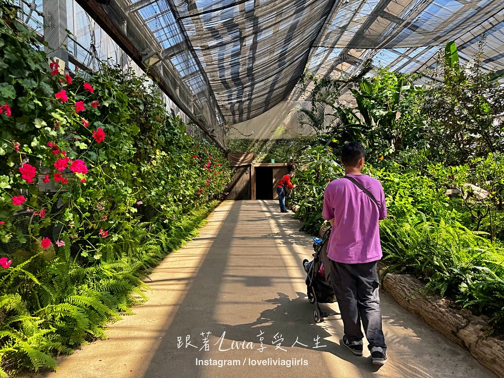 神戶187