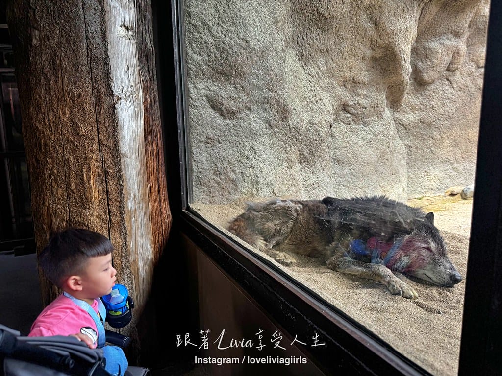 神戶26
