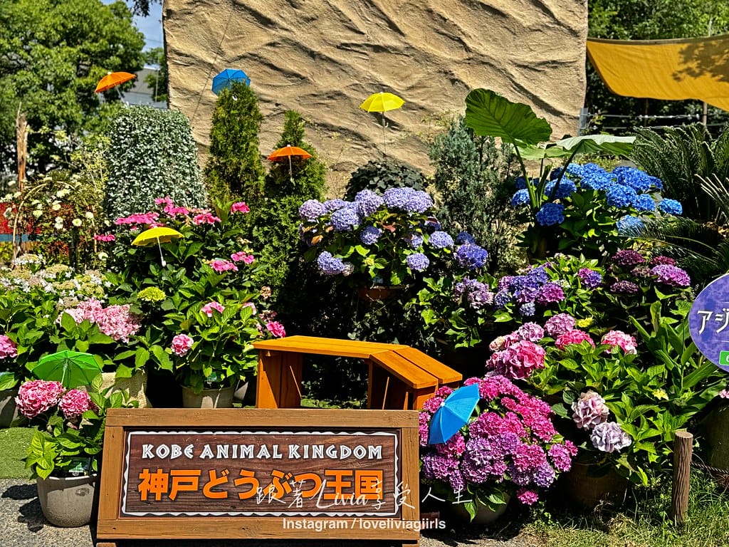 神戶156