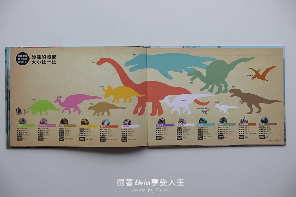 恐龍 (13) 恐龍 (13)