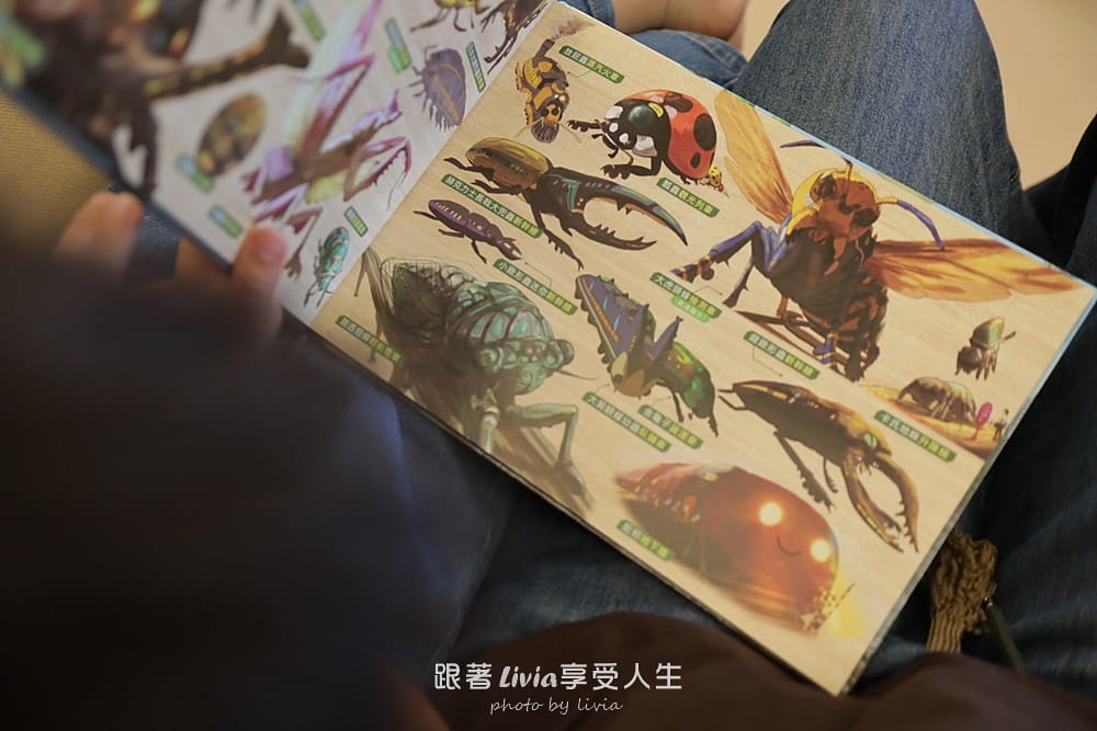 恐龍 (37) 恐龍 (37)