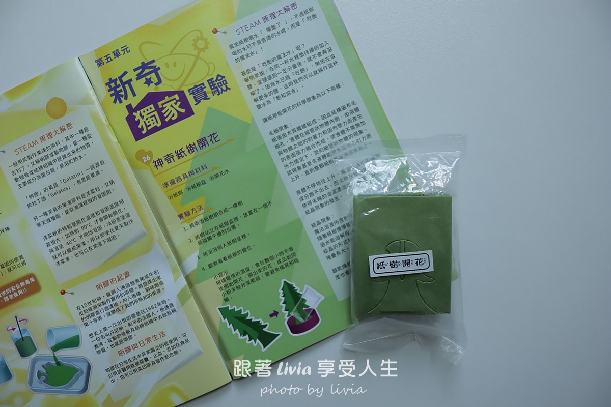 把家裡變成小小科學實驗室｜我們的 Eagle’s Lab 動手玩科學時光